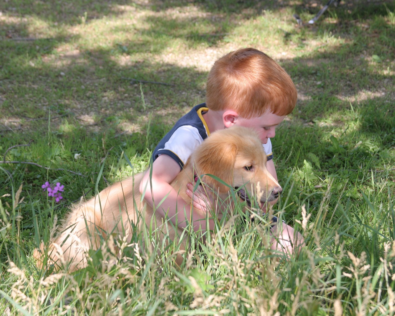 Boy Wants To Adopt A Dog, Raised $1,500 By Selling Lemonade In Their Neighborhood