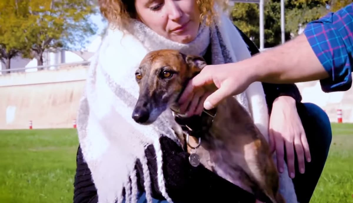 Sasha Loses Her Leg But Gains A Family In Return